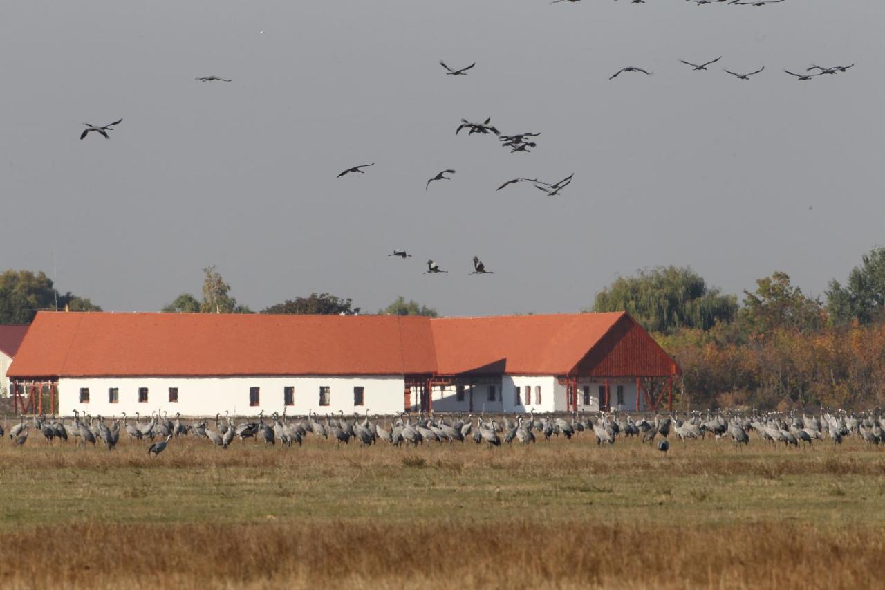 Bibic Nature Lodge Balmazújváros Eksteriør bilde