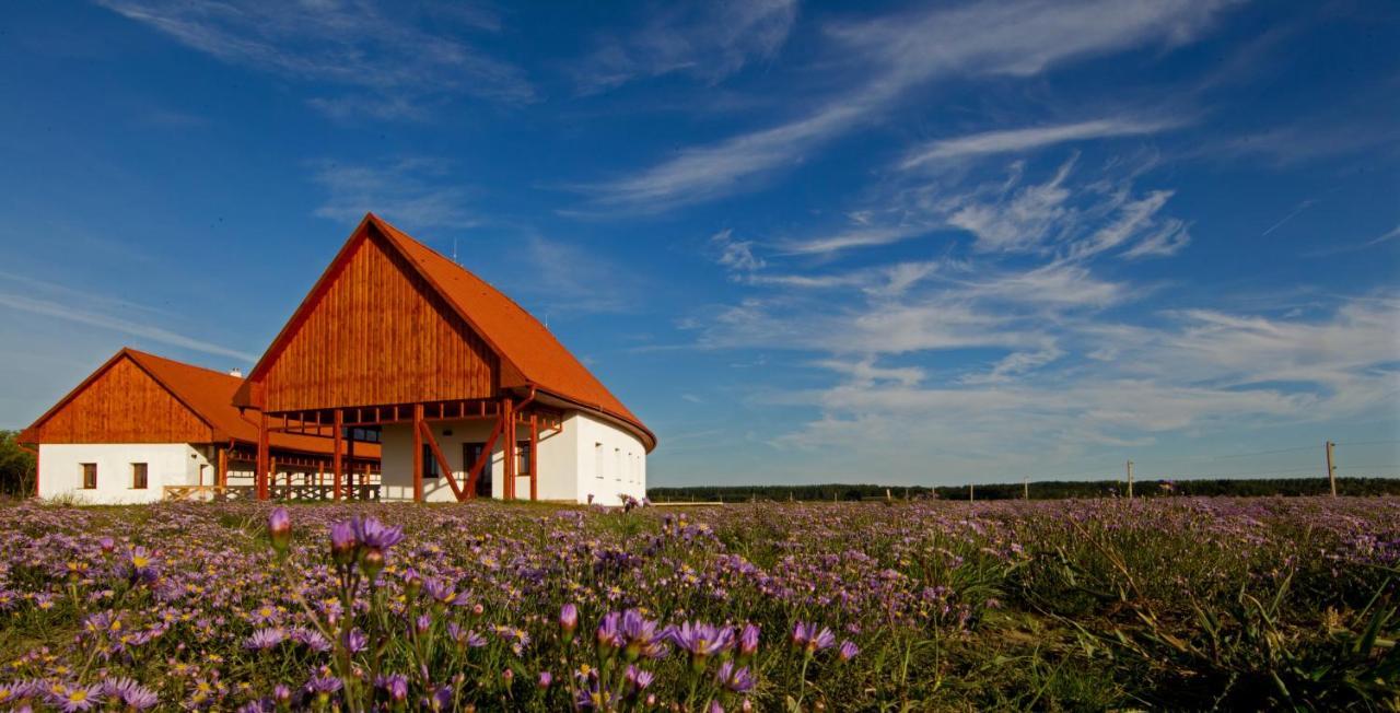 Bibic Nature Lodge Balmazújváros Eksteriør bilde